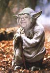 yoda
